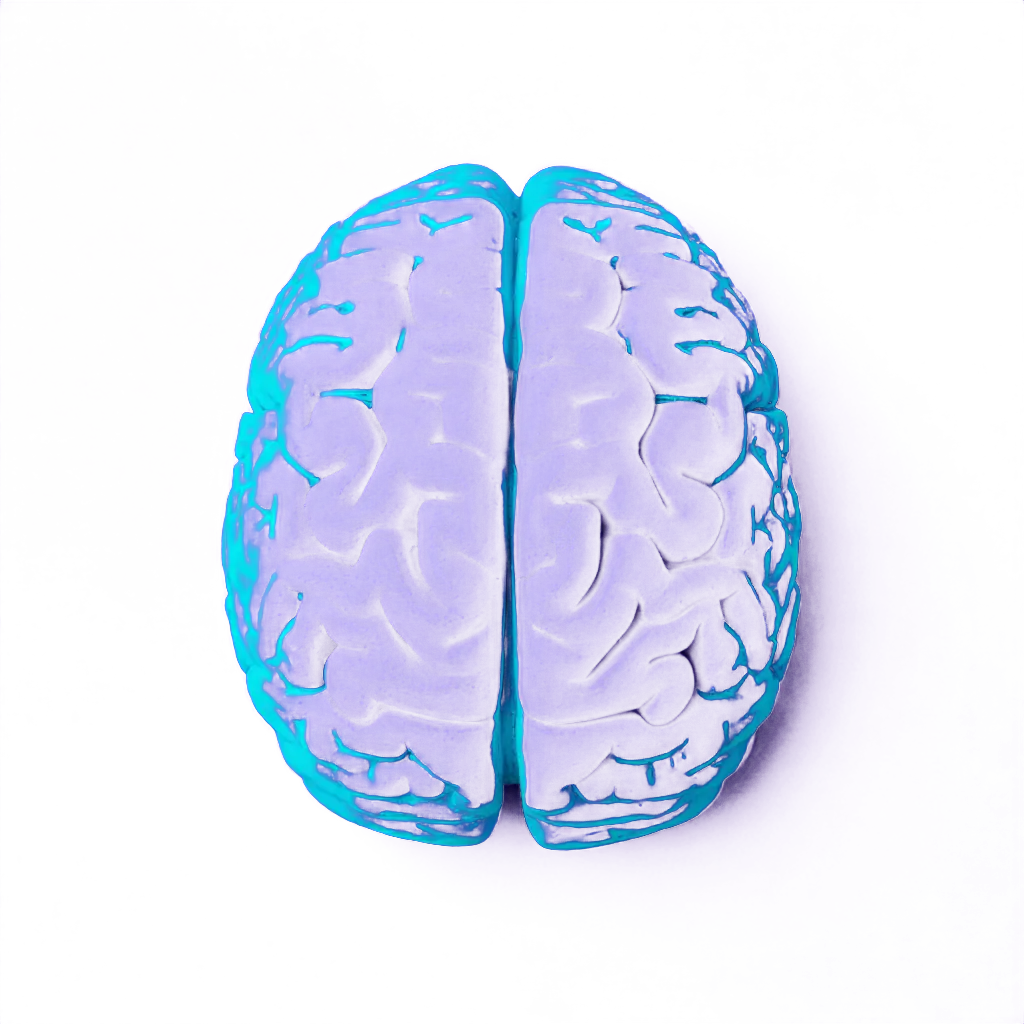 Brain illustration showing neural pathways and focus mechanisms